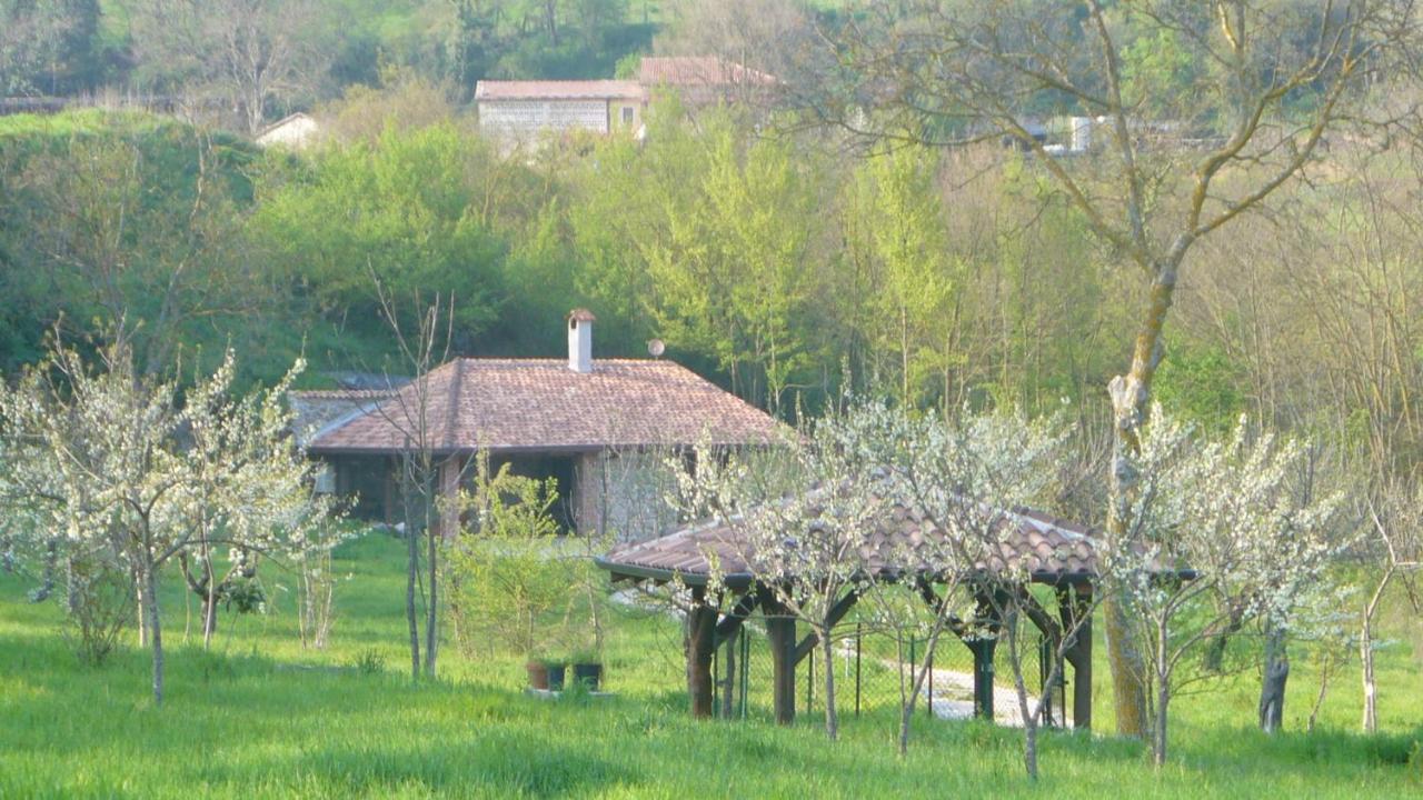 Tenuta De Maffutiis Polla Εξωτερικό φωτογραφία